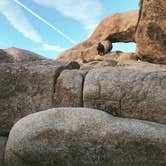 Review photo of Jumbo Rocks Campground — Joshua Tree National Park by Rae M., February 22, 2020
