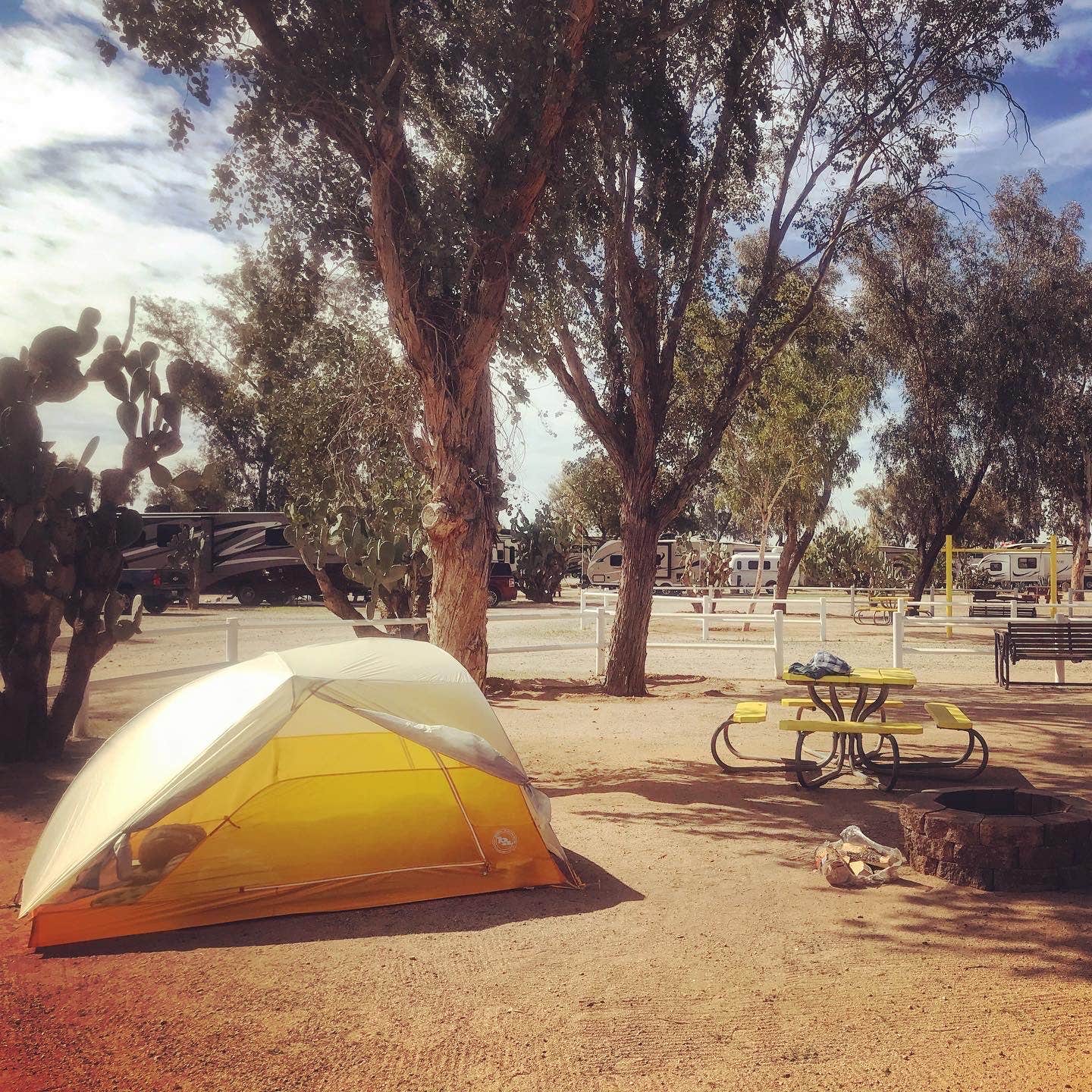 Rae M.'s photo at Picacho-Tucson NW KOA near Florence, AZ