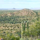 Review photo of Picacho-Tucson NW KOA by Rae M., February 22, 2020