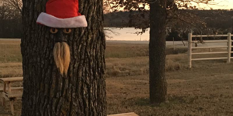 Camper submitted image from The Ooak RV Park & Campground