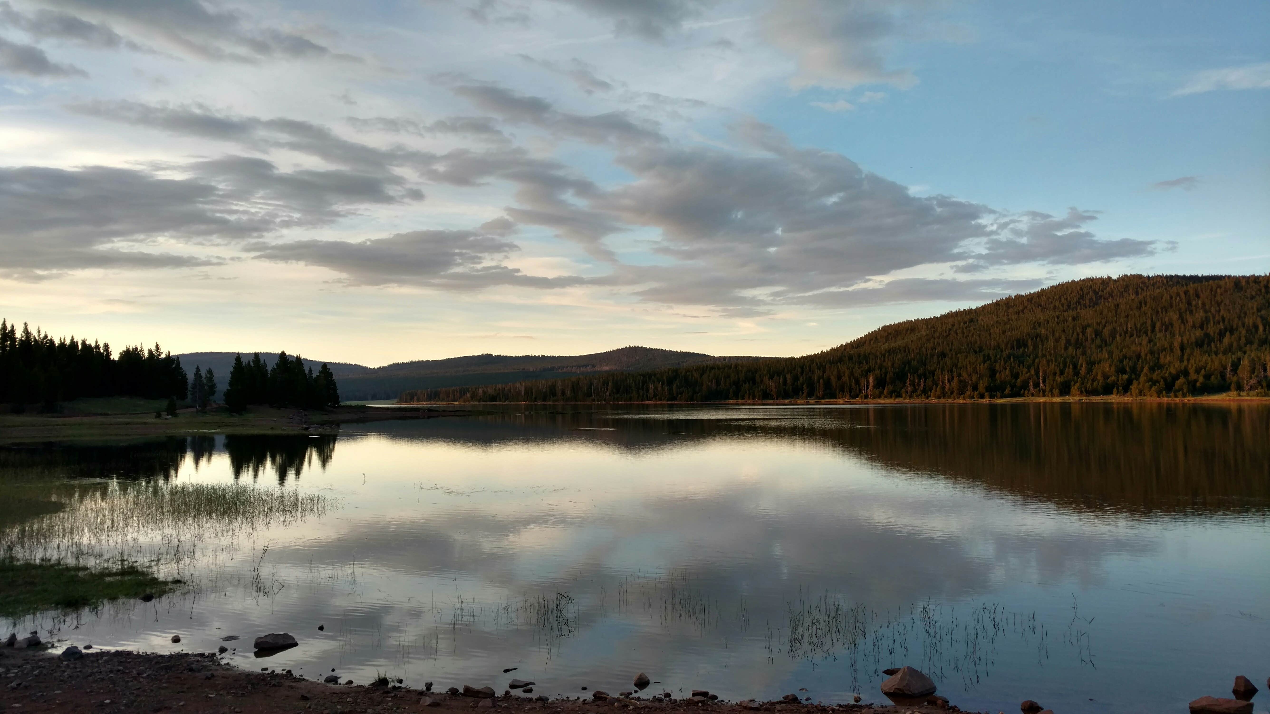 Natalie B.'s photo of a dispersed camping area at Windy Park Camping Area near Neola, UT