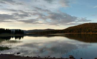 Natalie B.'s photo of a dispersed camping area at Windy Park Camping Area near Ashley National Forest