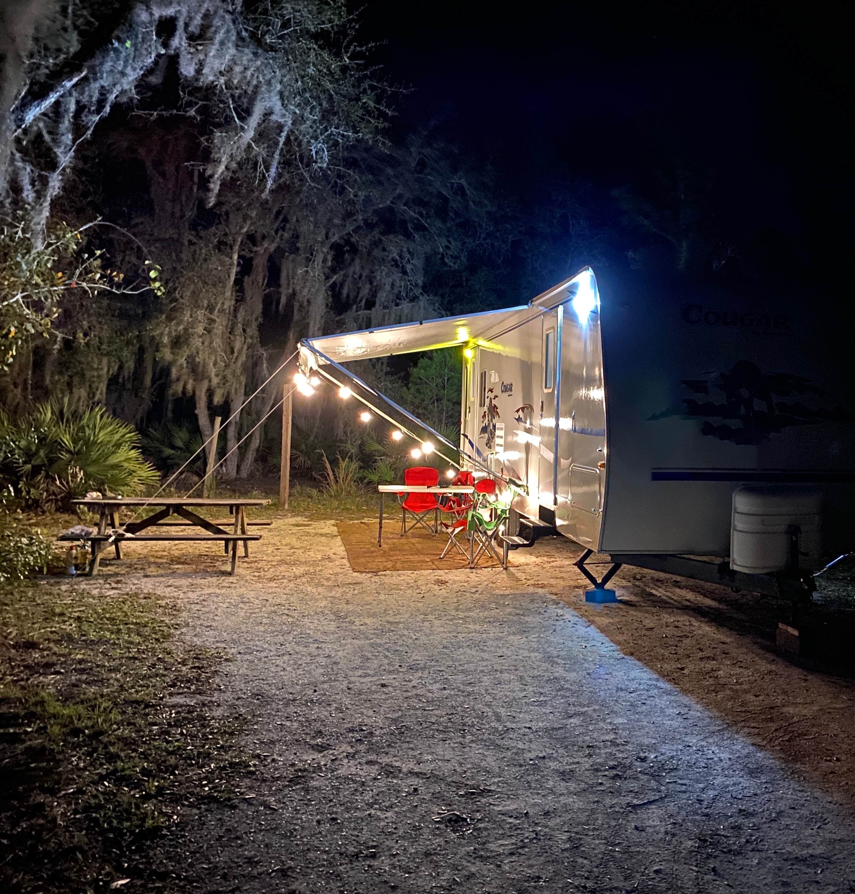 Camper submitted image from Lake Manatee State Park Campground - 4