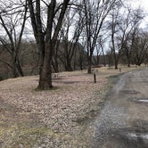 Review photo of Spring Gap Campground — Chesapeake and Ohio Canal National Historical Park by Jeremy C., February 22, 2020