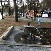 Review photo of COE Walter F George Lake White Oak Creek Campground by Lee D., February 23, 2020