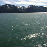 Review photo of Exit Glacier Campground — Kenai Fjords National Park by Sam M., February 23, 2020