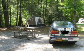 Kim O.'s photo at Upper Chattahoochee River Campground — Chattahoochee Oconee National Forest near Sautee Nacoochee, GA