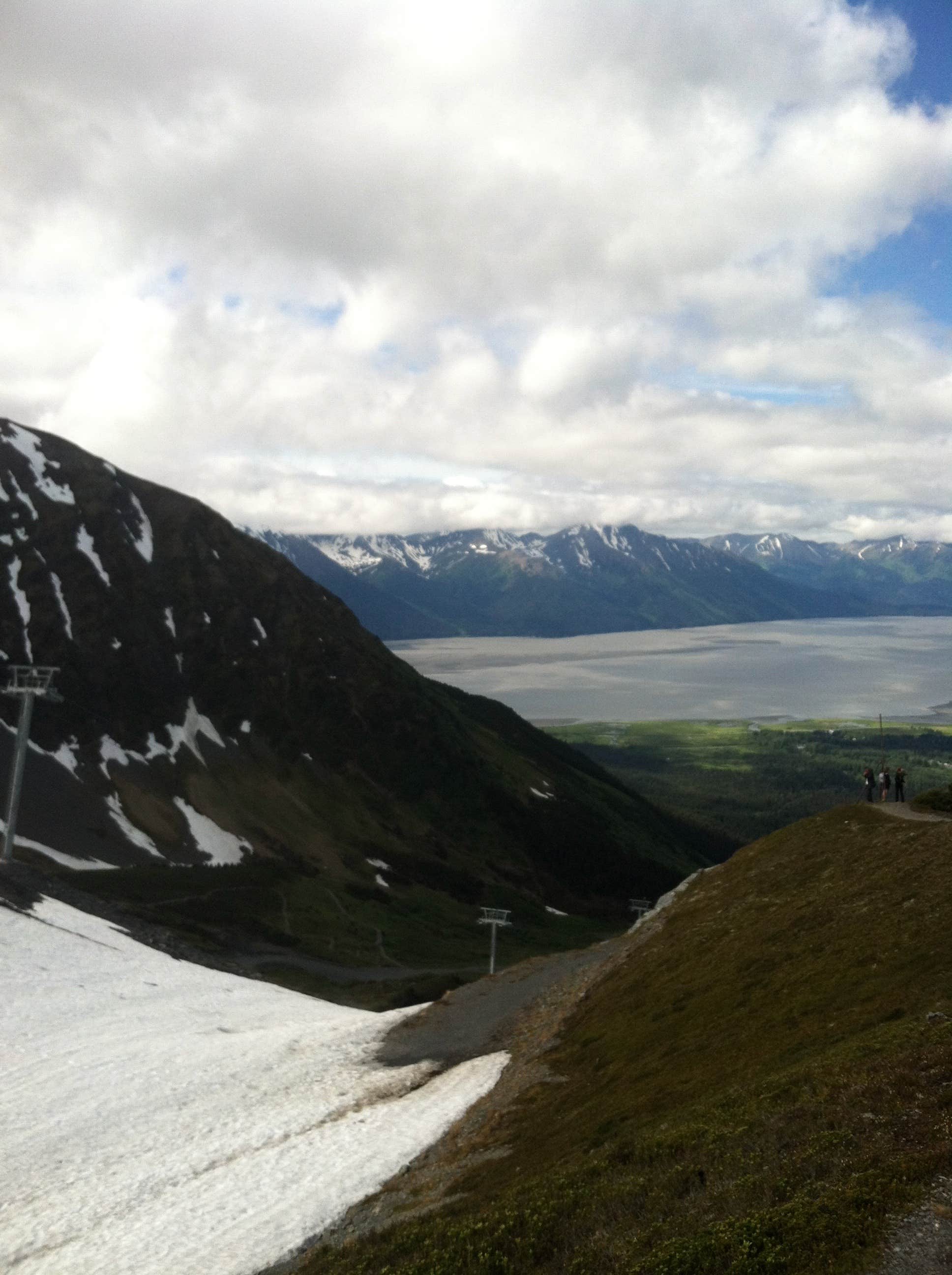 View All