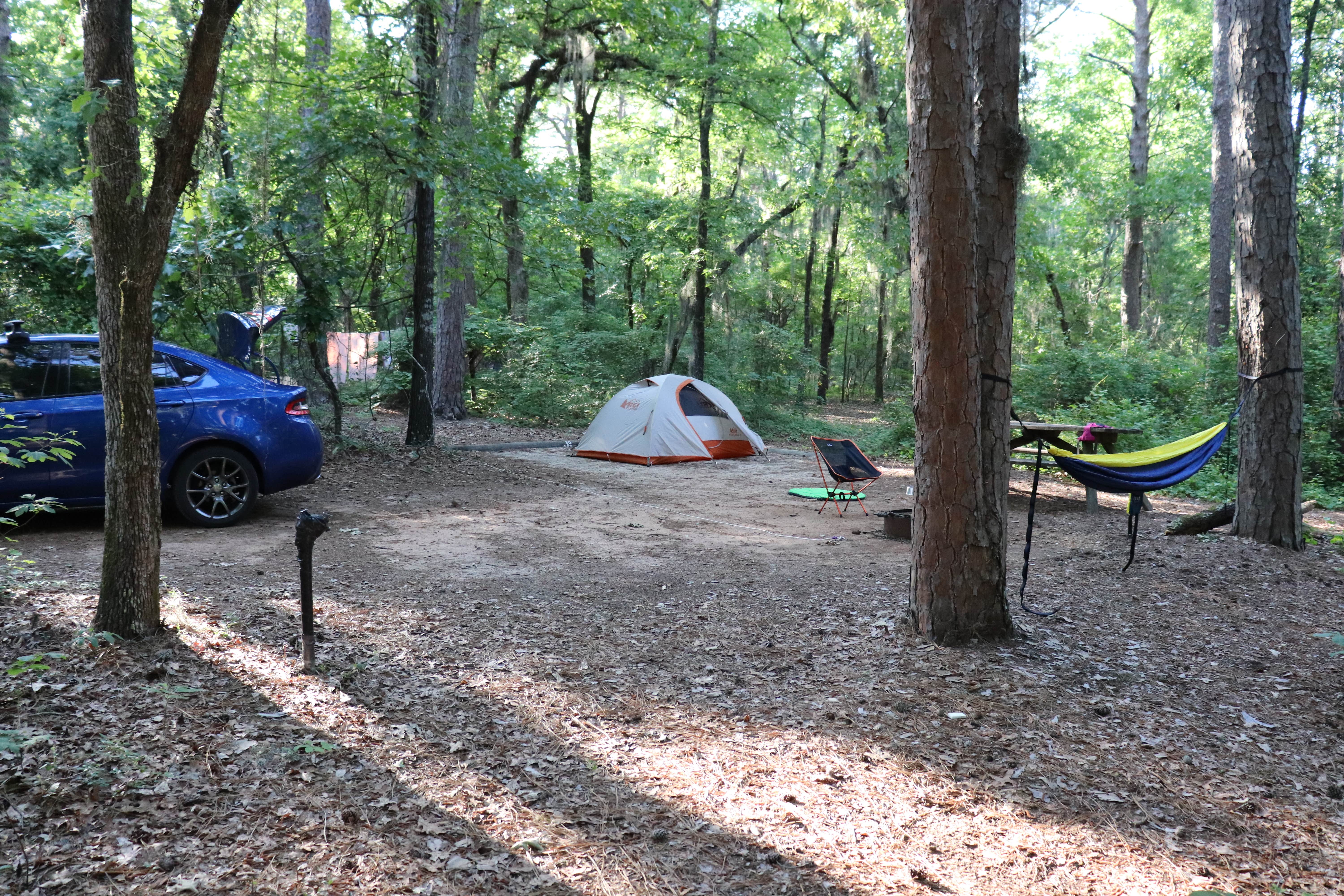 Krista R.'s photo at Poinsett State Park Campground near Bishopville, SC