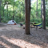 Review photo of Poinsett State Park Campground by Krista R., February 23, 2020