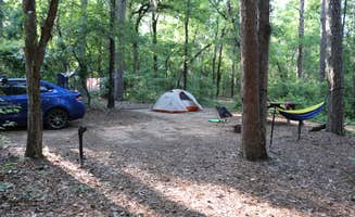 Krista R.'s photo at Poinsett State Park Campground near Timmonsville, SC