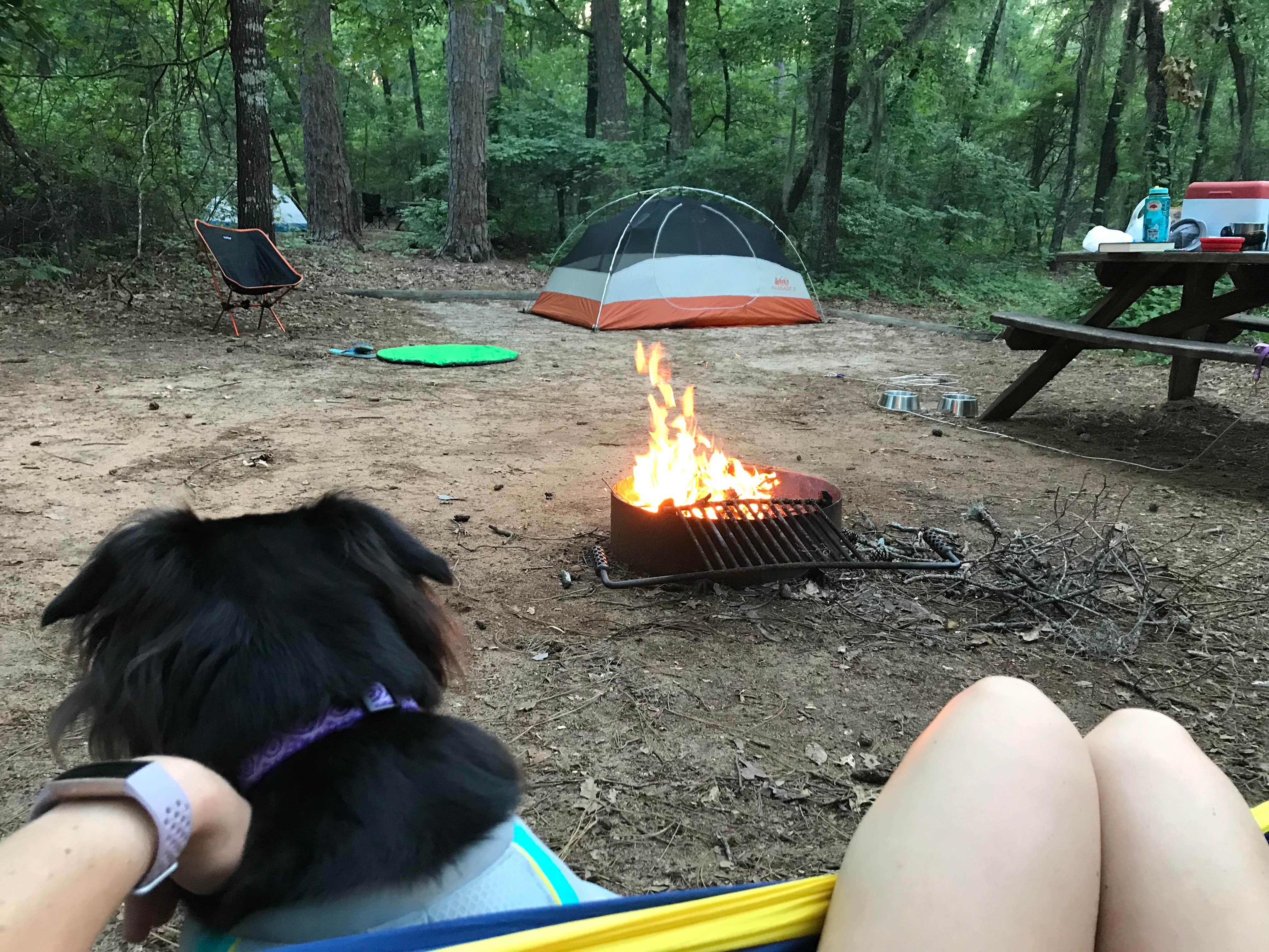 Krista R.'s photo of camping with pets at Poinsett State Park Campground near Columbia, SC