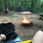 Review photo of Poinsett State Park Campground by Krista R., February 23, 2020