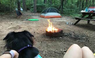 Krista R.'s photo at Poinsett State Park Campground near Salem, SC