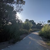 Review photo of Mojave Narrows Regional Park by Megan S., February 23, 2020
