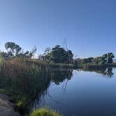 Review photo of Mojave Narrows Regional Park - CLOSED TIL FURTHER NOTICE by Megan S., February 23, 2020