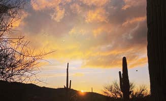Beth G.'s photo of a dispersed camping area at Cactus Forest Dispersed near Summerhaven, AZ