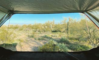 Beth G.'s photo at Cactus Forest Dispersed near Arizona City, AZ