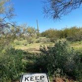 Review photo of Cactus Forest Dispersed by Beth G., February 23, 2020