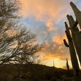 Review photo of Cactus Forest Dispersed by Beth G., February 23, 2020