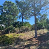 Review photo of Pine Grove Campground — Jonathan Dickinson State Park by Mike  Y., February 23, 2020