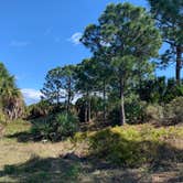 Review photo of Pine Grove Campground — Jonathan Dickinson State Park by Mike  Y., February 23, 2020