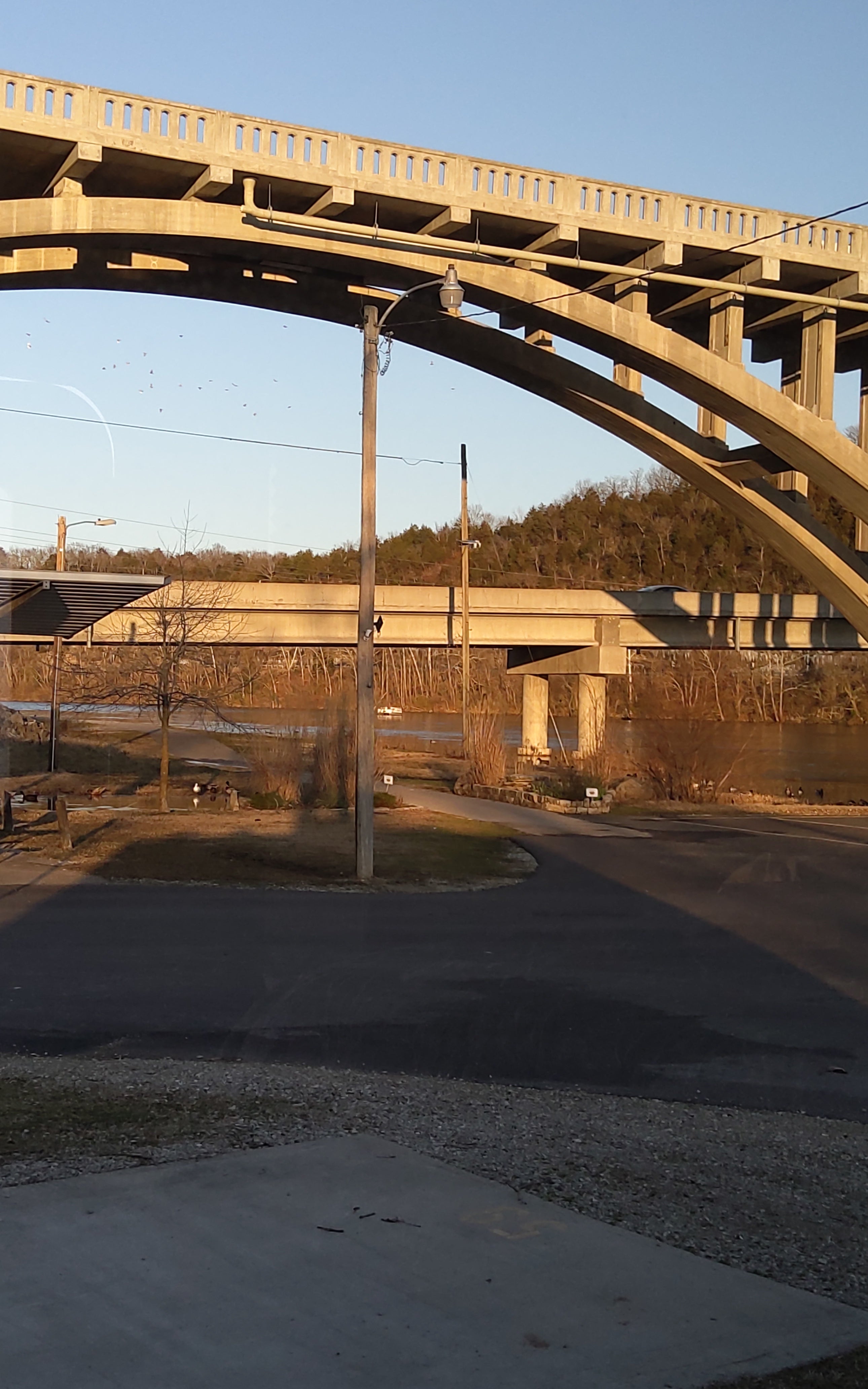 Camper submitted image from Branson Lakeside RV Park - 5