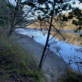 Review photo of Gualala Point Regional Park by Renee T., February 24, 2020