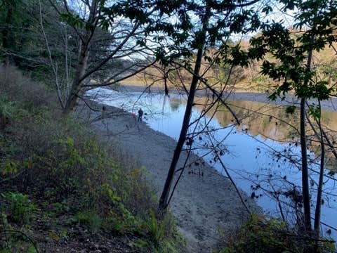 Camper submitted image from Gualala Point Regional Park - 4