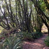 Review photo of Gualala Point Regional Park by Renee T., February 24, 2020