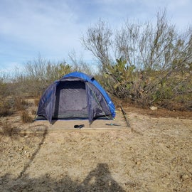 Overgrown tent pad