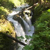 Review photo of Sol Duc Hot Springs Resort Campground — Olympic National Park by Sam M., February 24, 2020