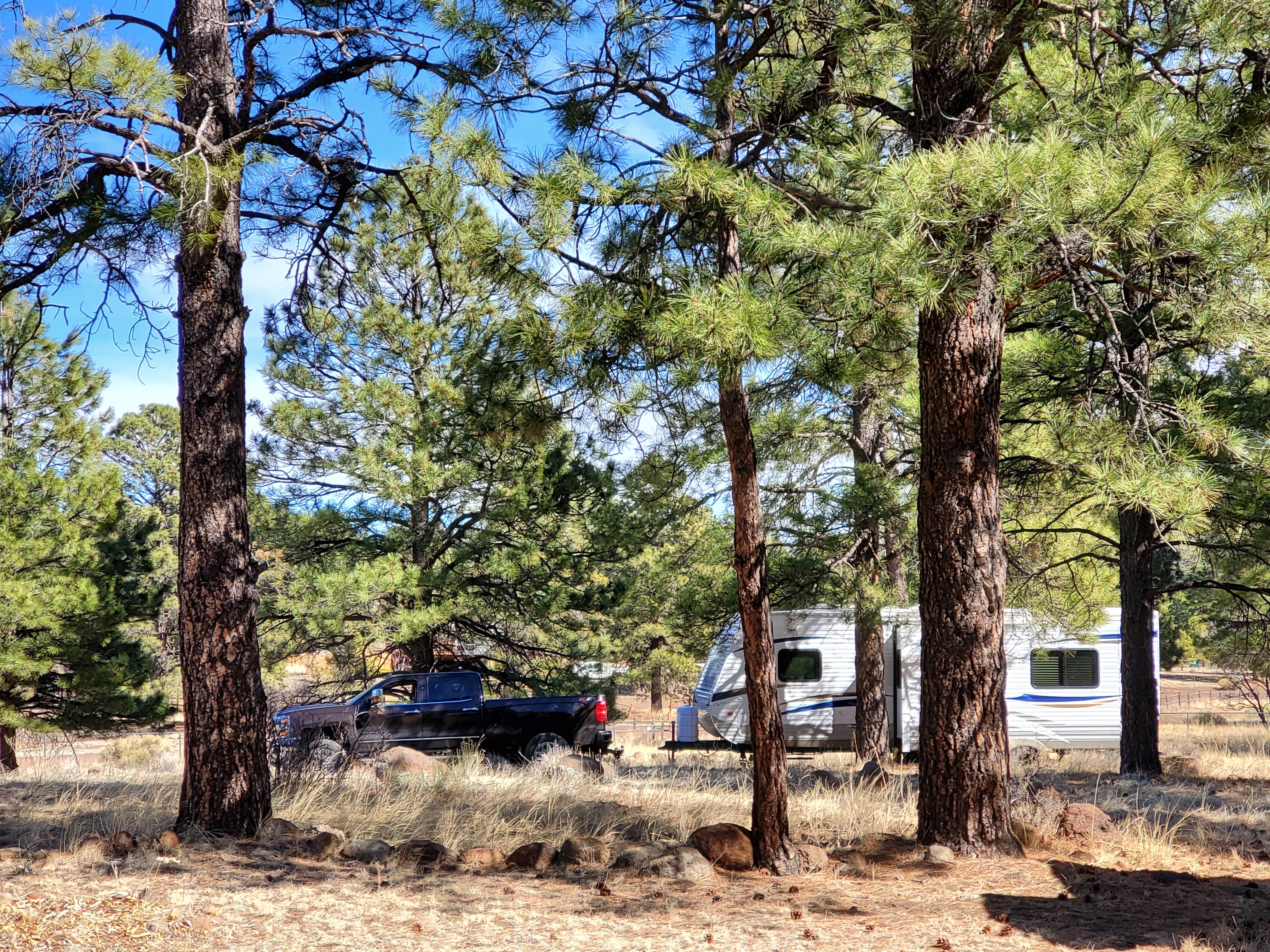 Paula G.'s photo at 5430 Snow Bowl near Flagstaff, AZ