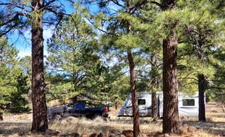 Paula G.'s photo at 5430 Snow Bowl in Arizona