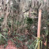 Review photo of Little Talbot Island State Park Campground by Lee D., February 26, 2020