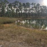 Review photo of Long Pine Key Campground — Everglades National Park by Jean C., February 26, 2020