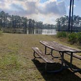 Review photo of Long Pine Key Campground — Everglades National Park by Jean C., February 26, 2020