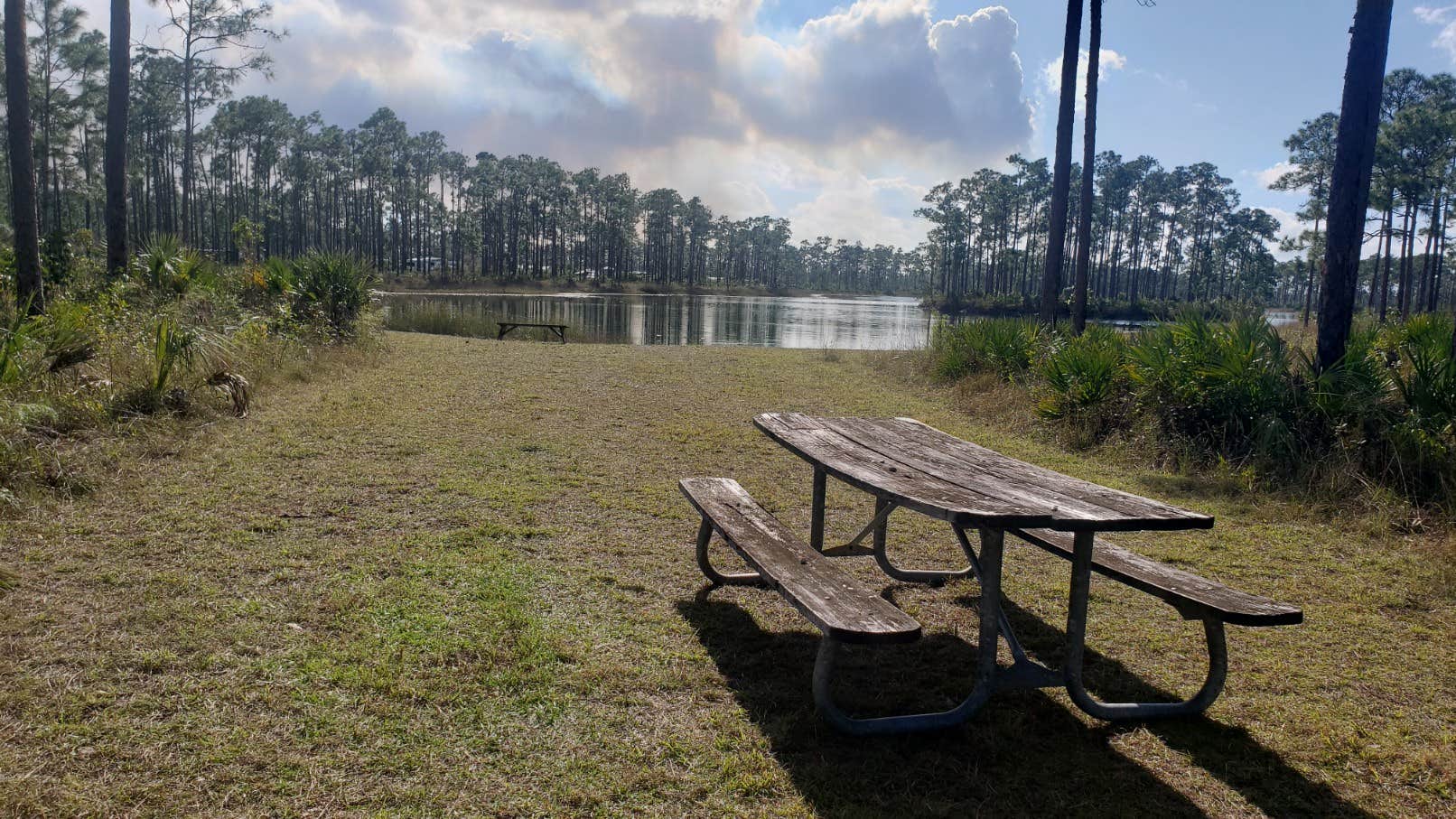 Camper submitted image from Long Pine Key Campground — Everglades National Park - 3