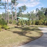 Review photo of Long Pine Key Campground — Everglades National Park by Jean C., February 26, 2020