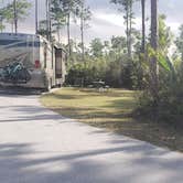 Review photo of Long Pine Key Campground — Everglades National Park by Jean C., February 26, 2020