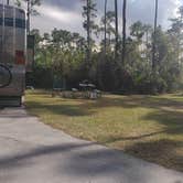 Review photo of Long Pine Key Campground — Everglades National Park by Jean C., February 26, 2020