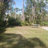 Review photo of Long Pine Key Campground — Everglades National Park by Jean C., February 26, 2020