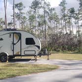 Review photo of Long Pine Key Campground — Everglades National Park by Jean C., February 26, 2020