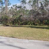 Review photo of Long Pine Key Campground — Everglades National Park by Jean C., February 26, 2020