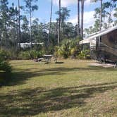 Review photo of Long Pine Key Campground — Everglades National Park by Jean C., February 26, 2020