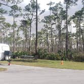 Review photo of Long Pine Key Campground — Everglades National Park by Jean C., February 26, 2020