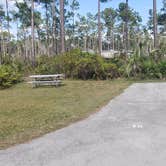 Review photo of Long Pine Key Campground — Everglades National Park by Jean C., February 26, 2020