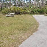 Review photo of Long Pine Key Campground — Everglades National Park by Jean C., February 26, 2020