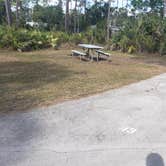 Review photo of Long Pine Key Campground — Everglades National Park by Jean C., February 26, 2020