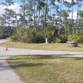 Review photo of Long Pine Key Campground — Everglades National Park by Jean C., February 26, 2020